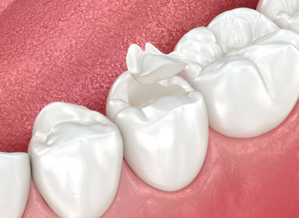 Professional Dental Services in Otsego, MI